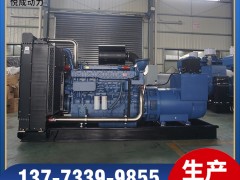 YC6TD780-D31玉柴500KW柴油發電機組