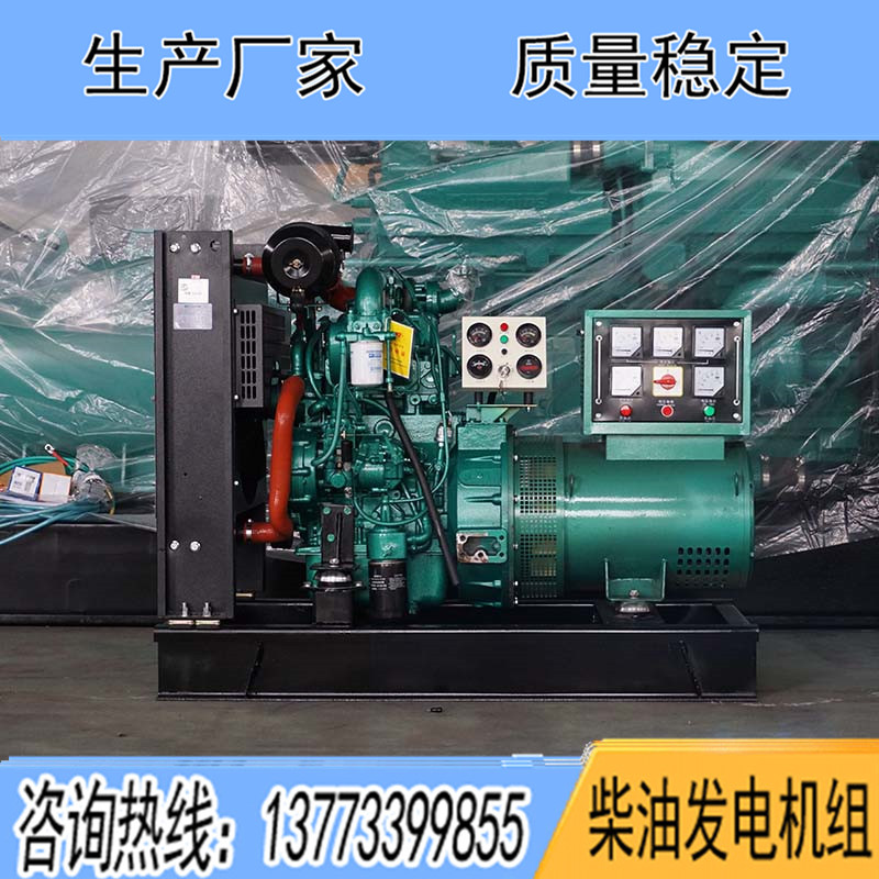 YC2115ZD玉柴25KW柴油發電機組報價