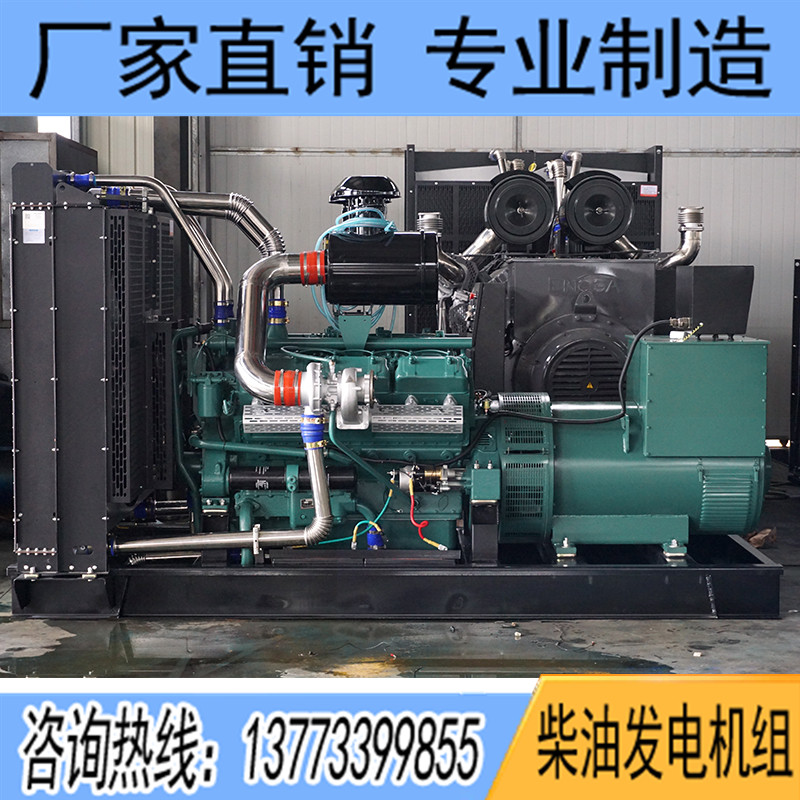 300KW通柴TCR300柴油發電機組